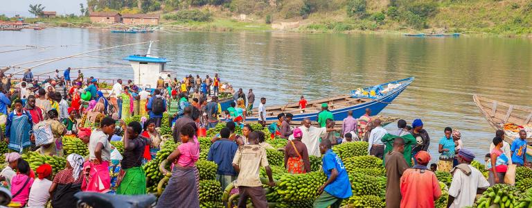 A market alongside Lake Kivu in Rwanda where fruit is being sold