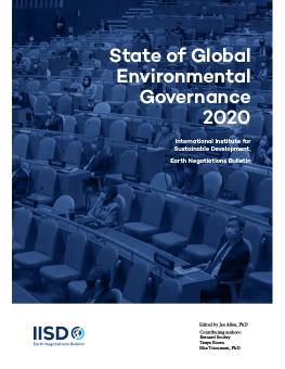 Cover of State of Global Environmental Governance 2020
