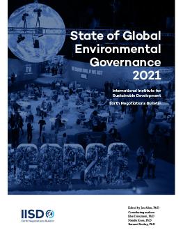 The State of Global Environmental Governance 2021 cover showing scene from COP26