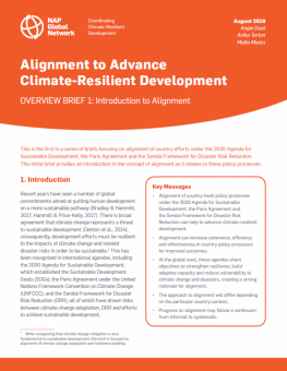 alignment-to-advance-climate-resilient-development-790x1024.png
