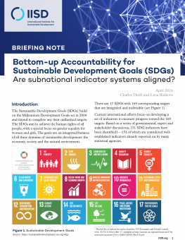 bottom-up-accountability-sdgs-briefing-note-cover.png