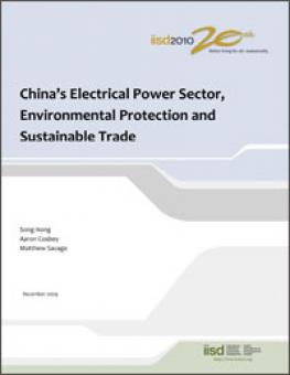 china_power_sector_sd.jpg