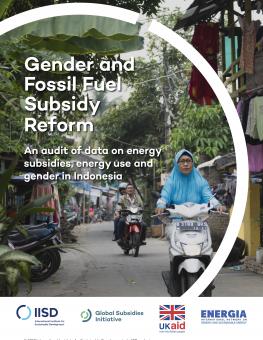 gender-fossil-fuel-subsidy-reform-indonesia-1.jpg
