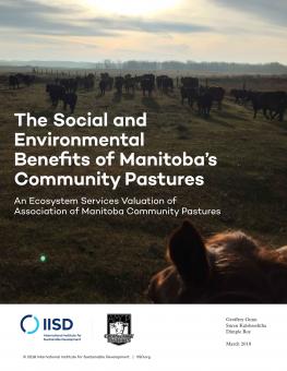 social-environmental-benefits-manitoba-pastures-1.jpg